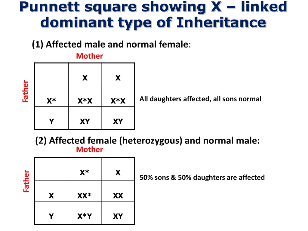 punnett square showing x linked dominant type