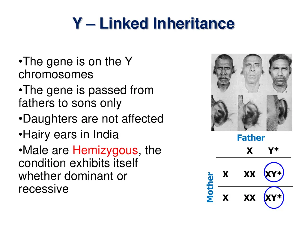 y linked inheritance