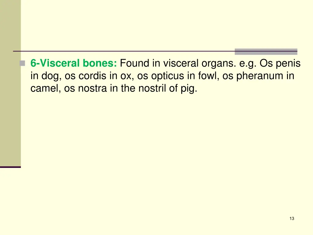 6 visceral bones found in visceral organs