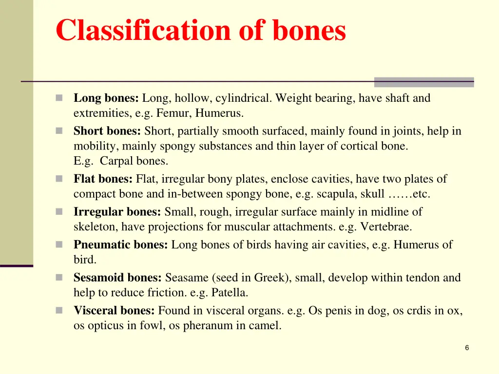 classification of bones