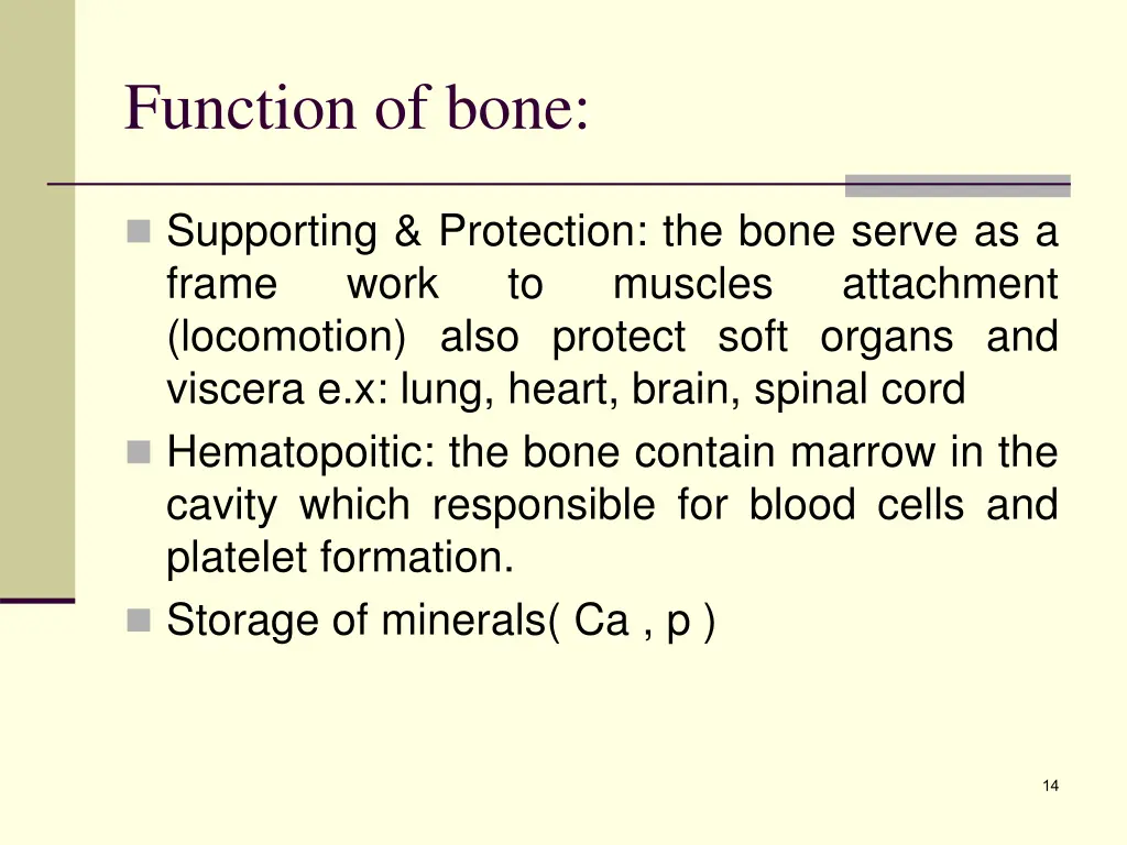 function of bone