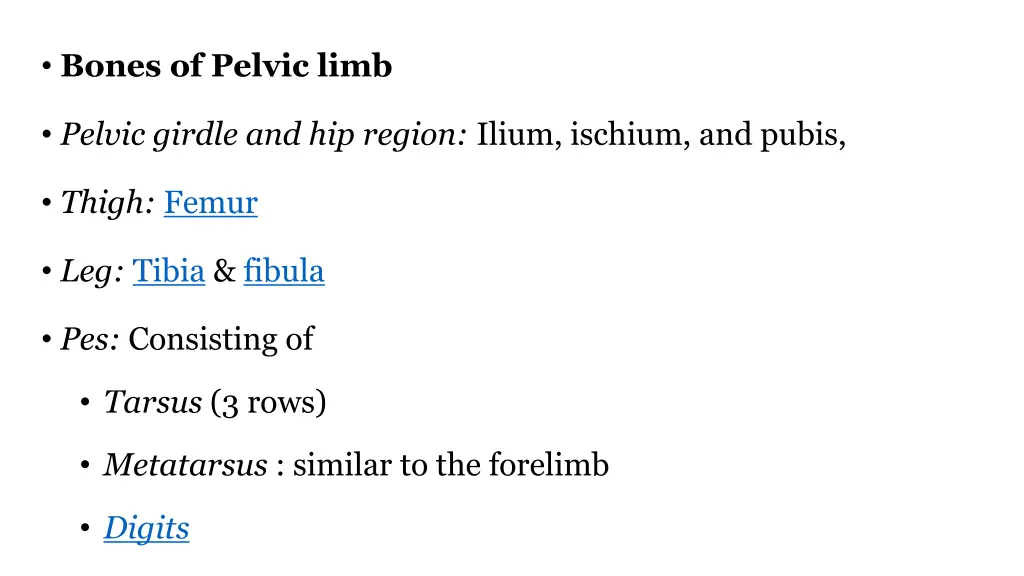 bones of pelvic limb