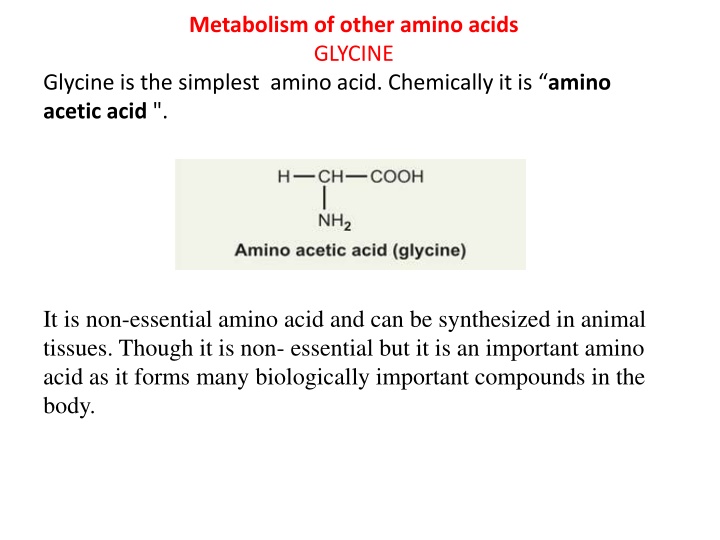 metabolism of other amino acids glycine glycine