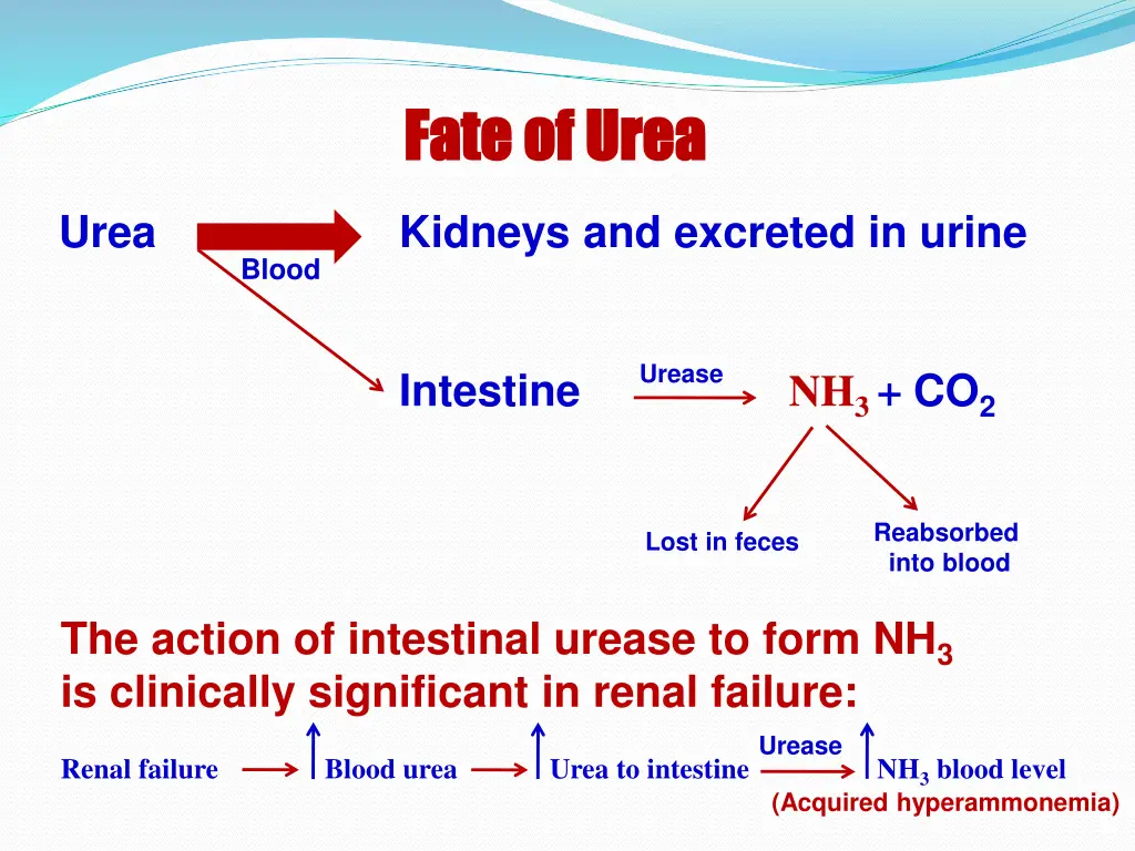 fate of urea fate of urea