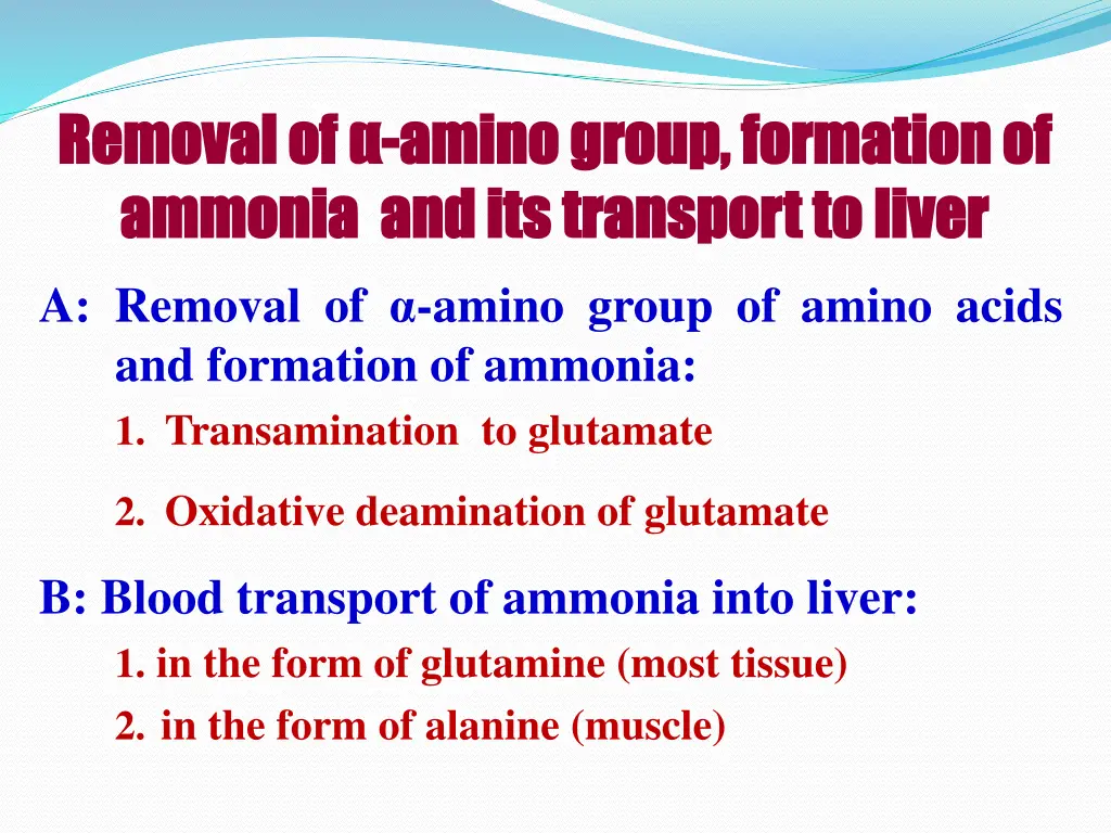 removal of removal of amino group formation