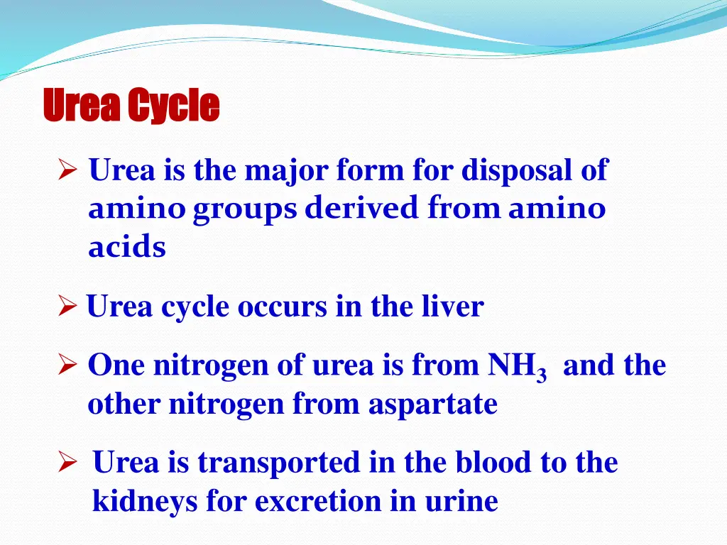 urea cycle urea cycle 1