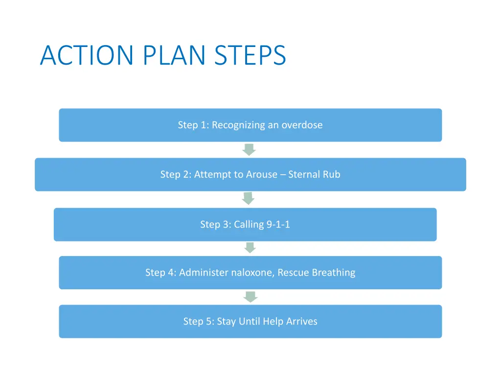 action plan steps