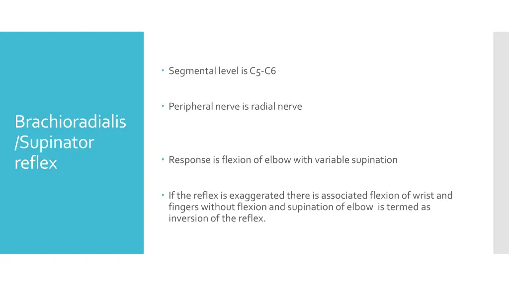 segmental level is c5 c6 1