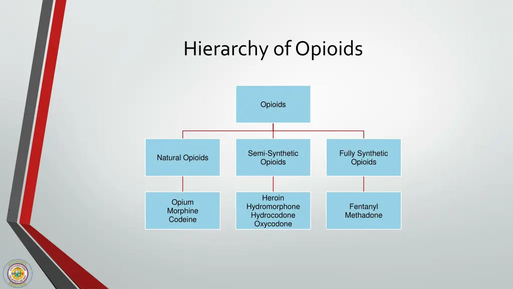 hierarchy of opioids