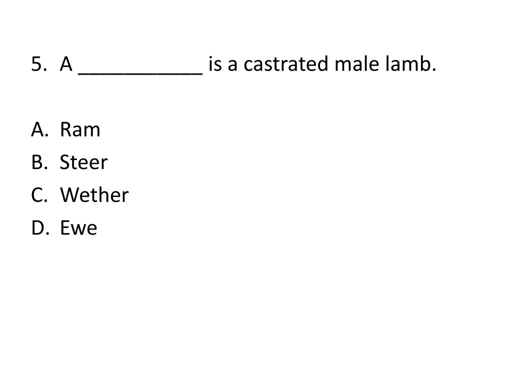 5 a is a castrated male lamb