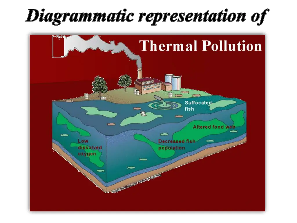 diagrammatic representation of