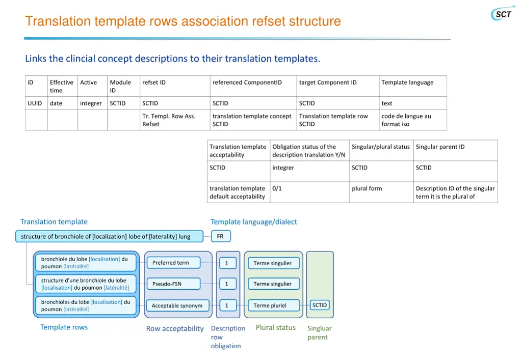 translation template rows association refset