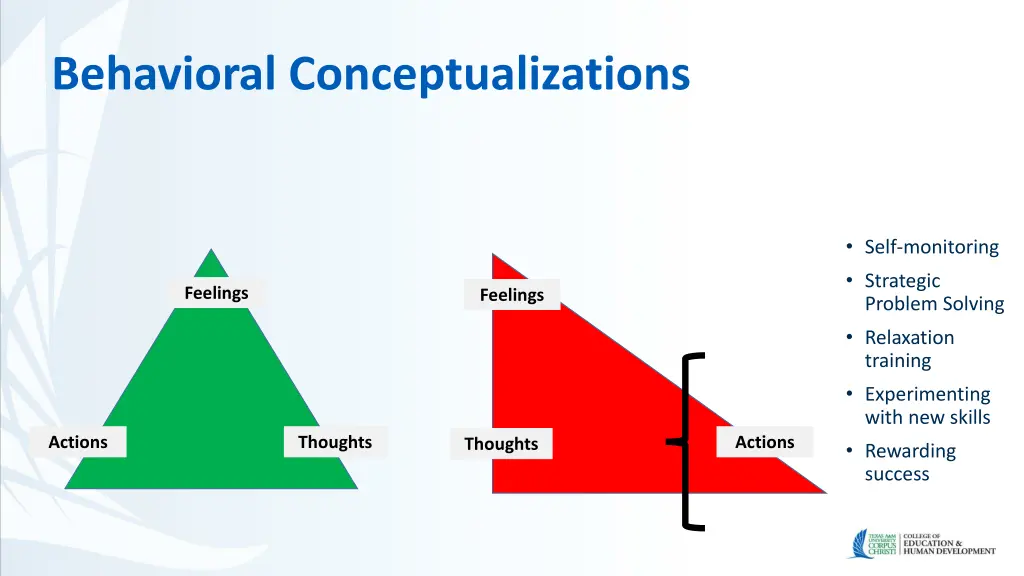 behavioral conceptualizations