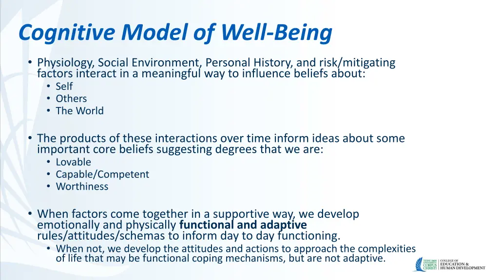 cognitive model of well being