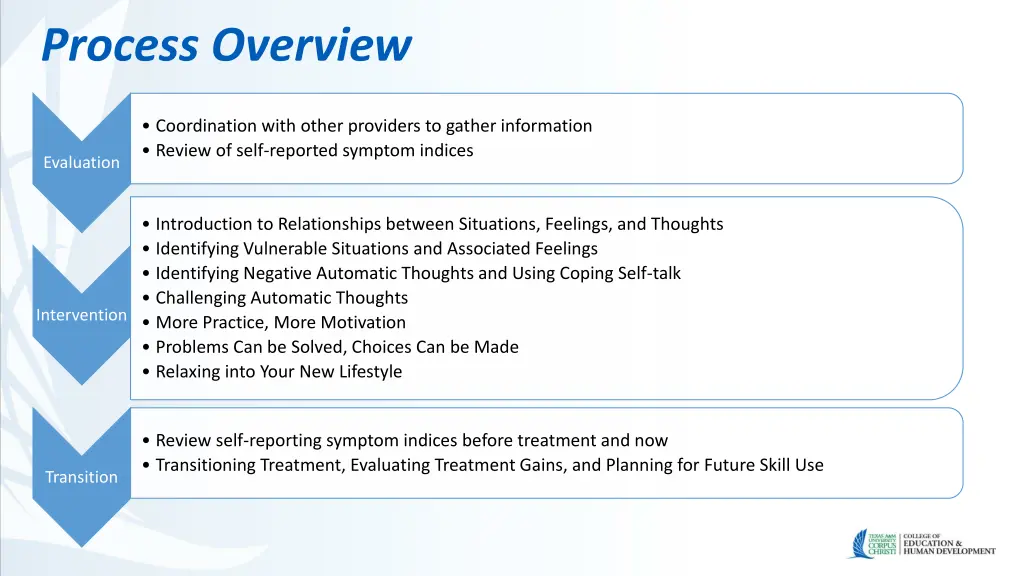 process overview