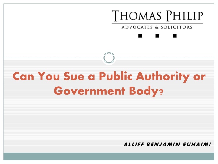 can you sue a public authority or government body