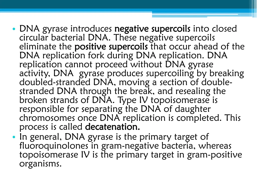 dna gyrase introduces negative circular bacterial