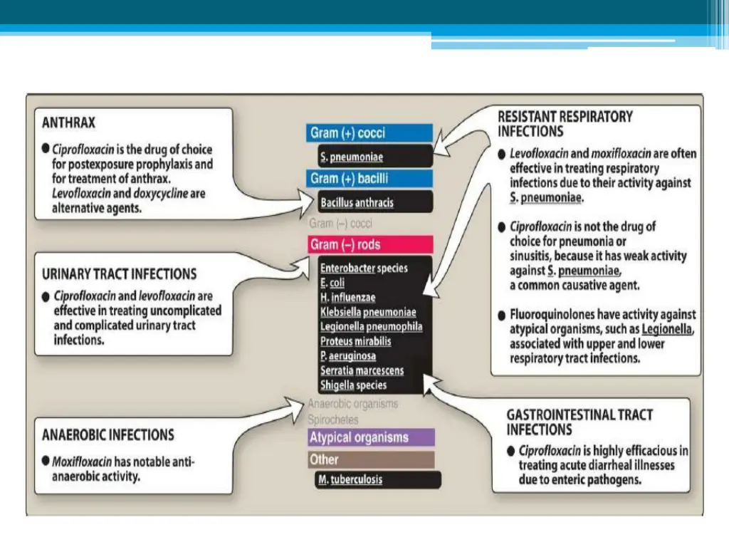 slide26