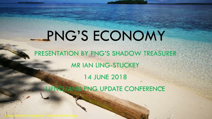 png s economy