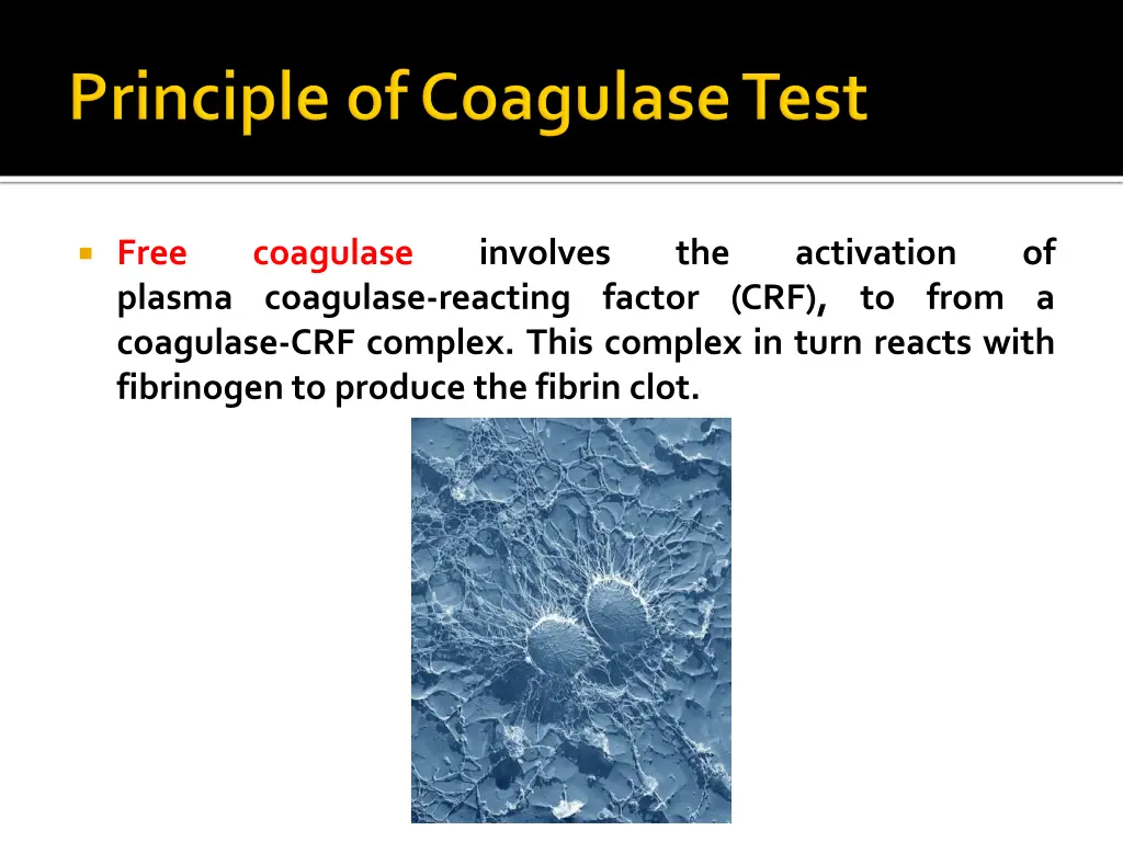 free plasma coagulase reacting factor crf to from