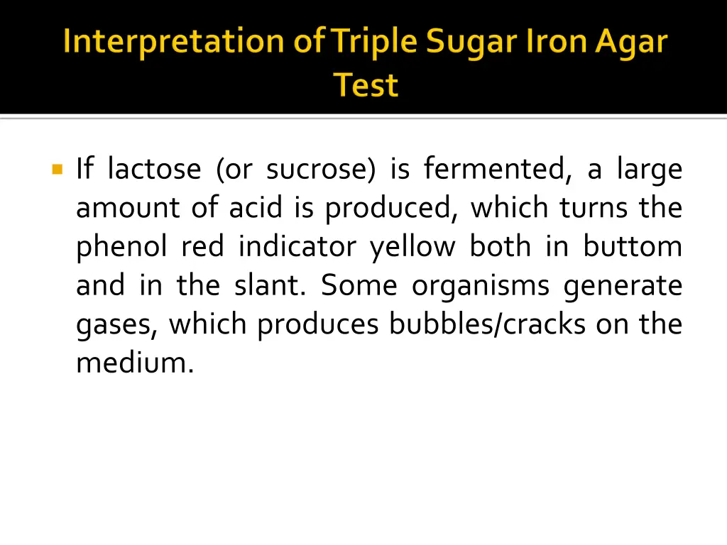 if lactose or sucrose is fermented a large amount