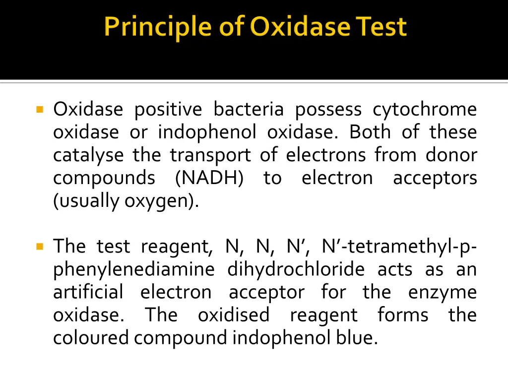 oxidase positive bacteria possess cytochrome