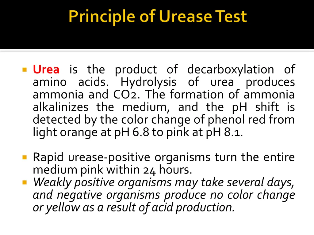 urea is the product of decarboxylation of amino