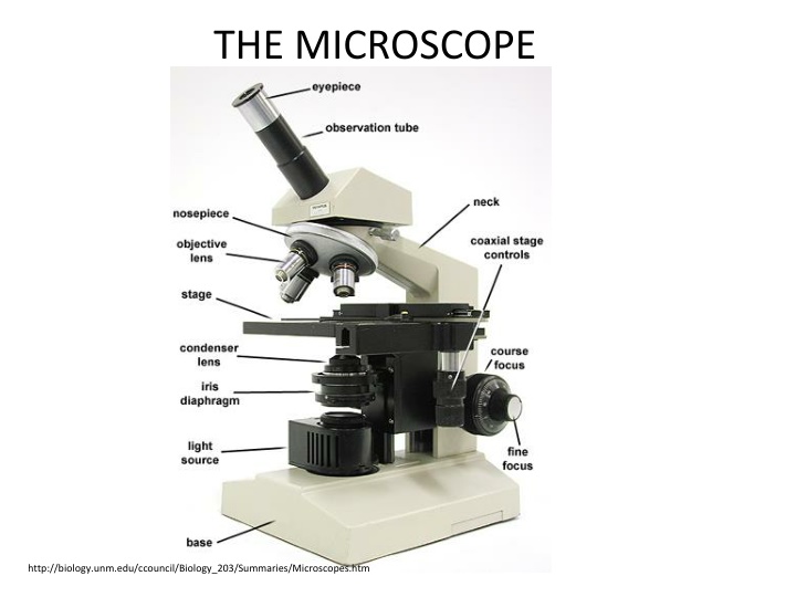 the microscope