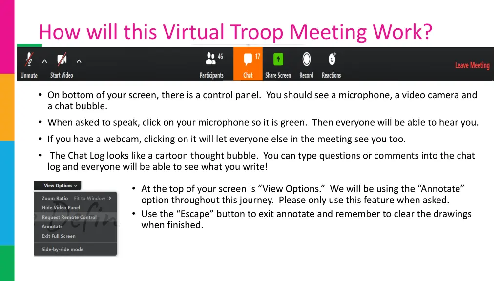 how will this virtual troop meeting work