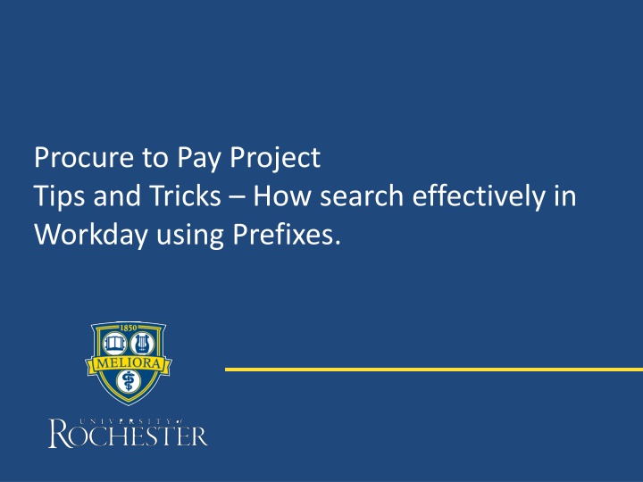 procure to pay project tips and tricks how search