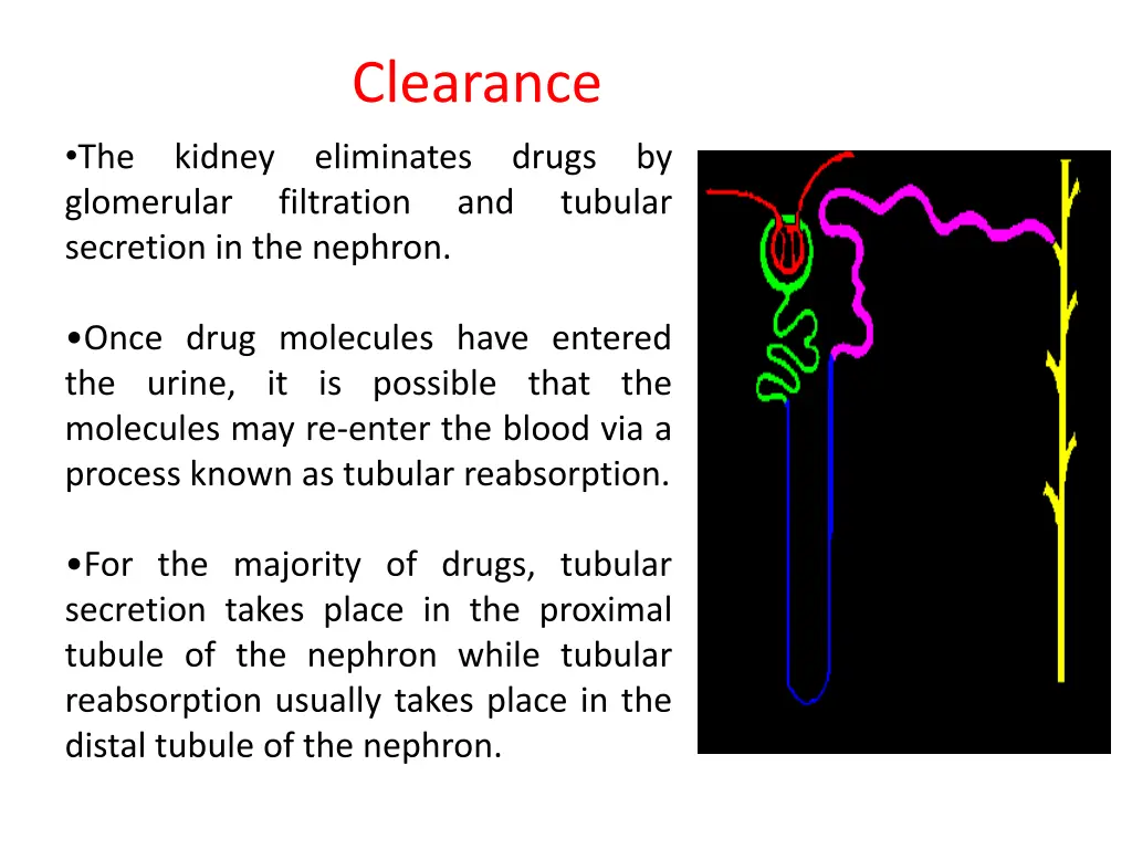 clearance 3