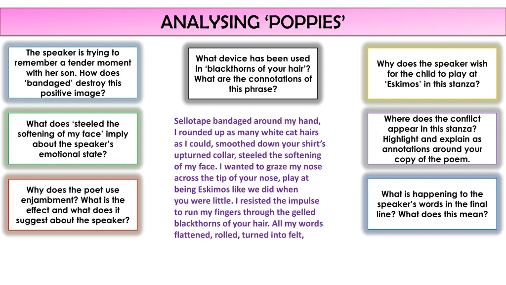 analysing poppies 1