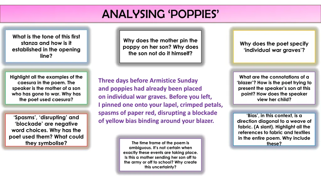 analysing poppies