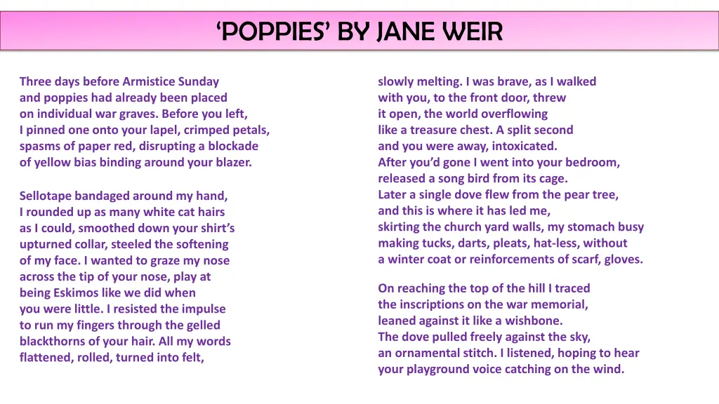 poppies by jane weir