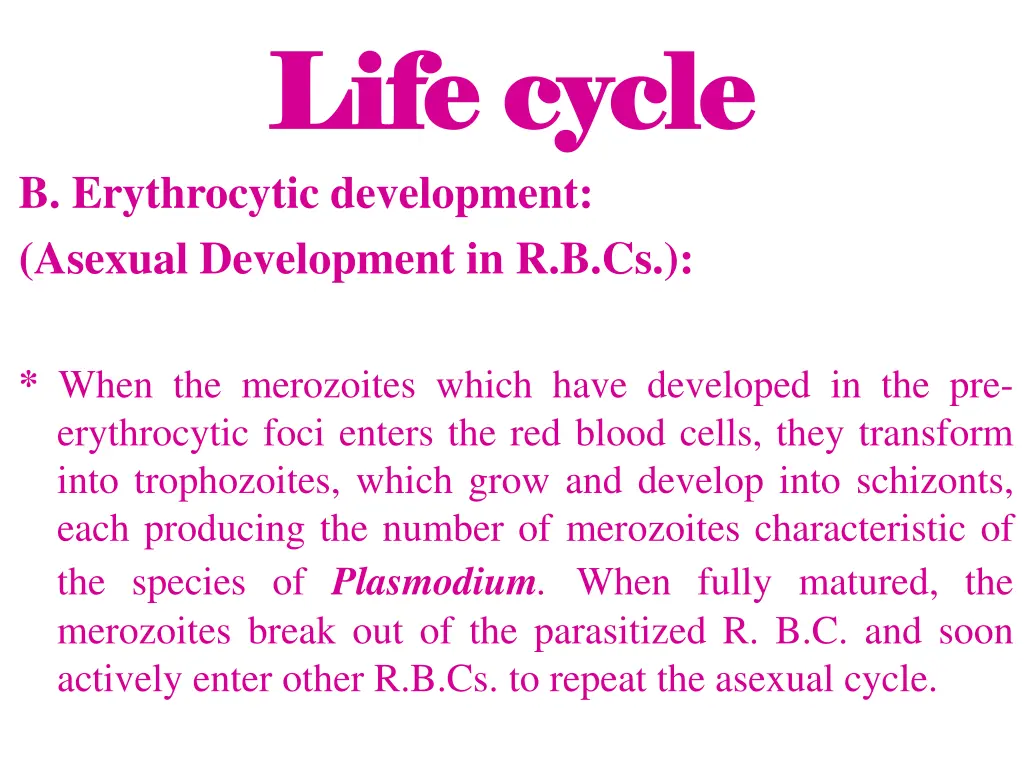 life cycle life cycle 4