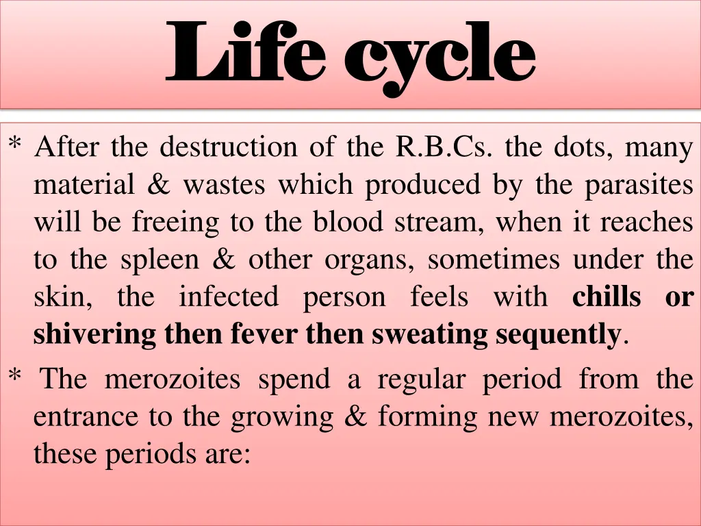 life cycle life cycle 6