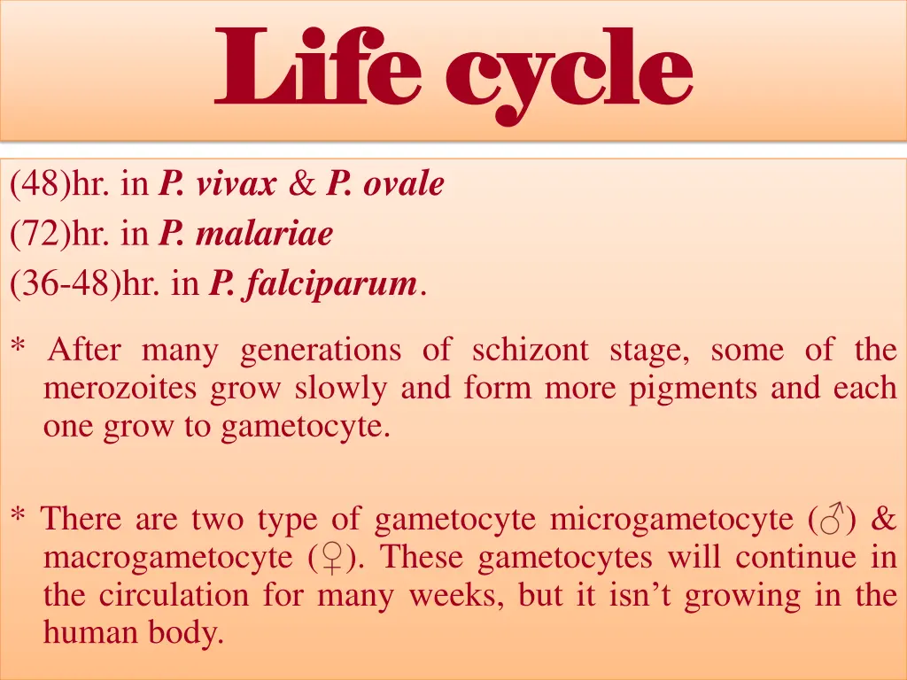 life cycle life cycle 7