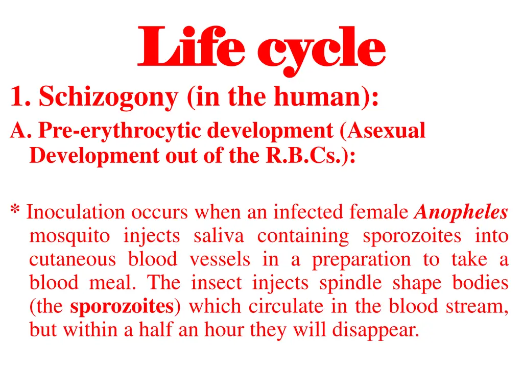 life cycle life cycle