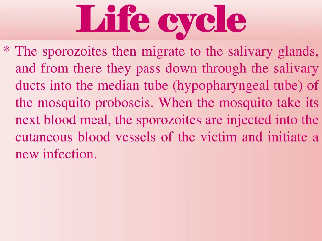 life cycle life cycle the sporozoites then