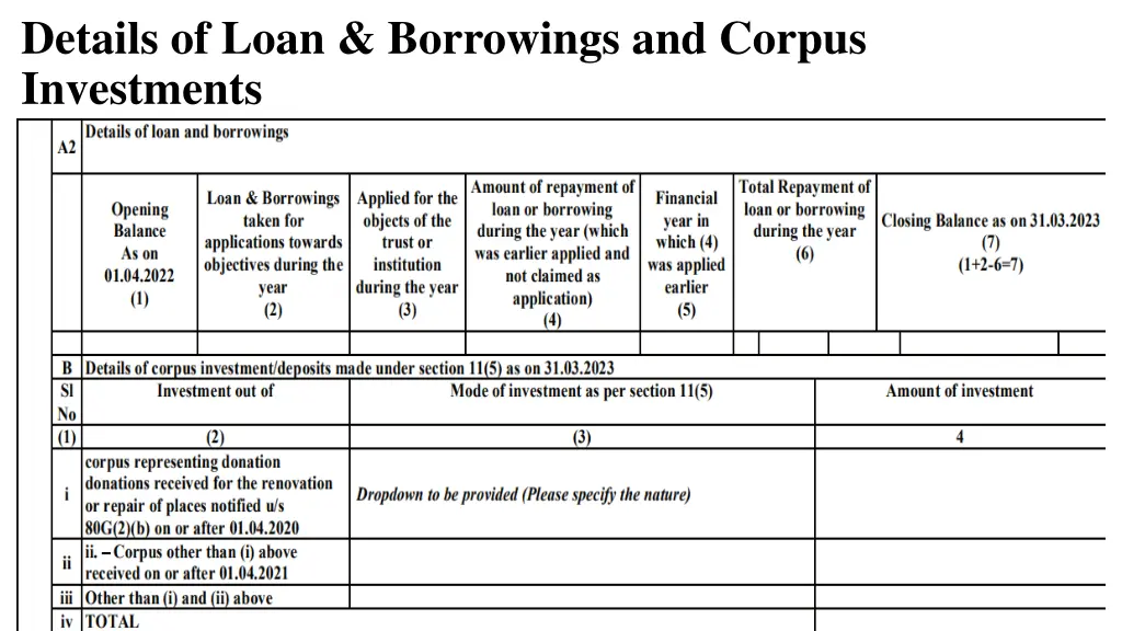 details of loan borrowings and corpus investments