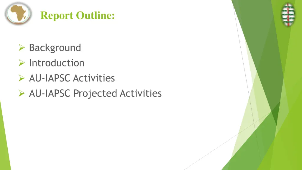 report outline