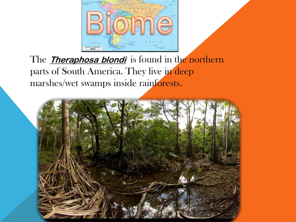 biome biome