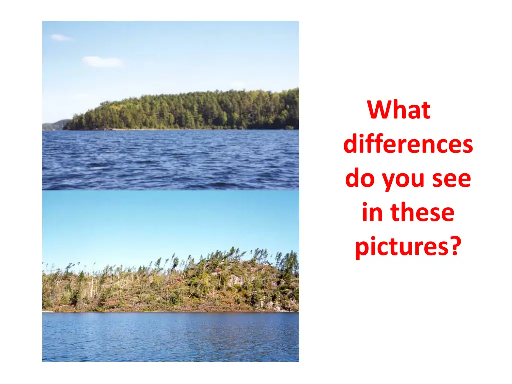 what differences do you see in these pictures