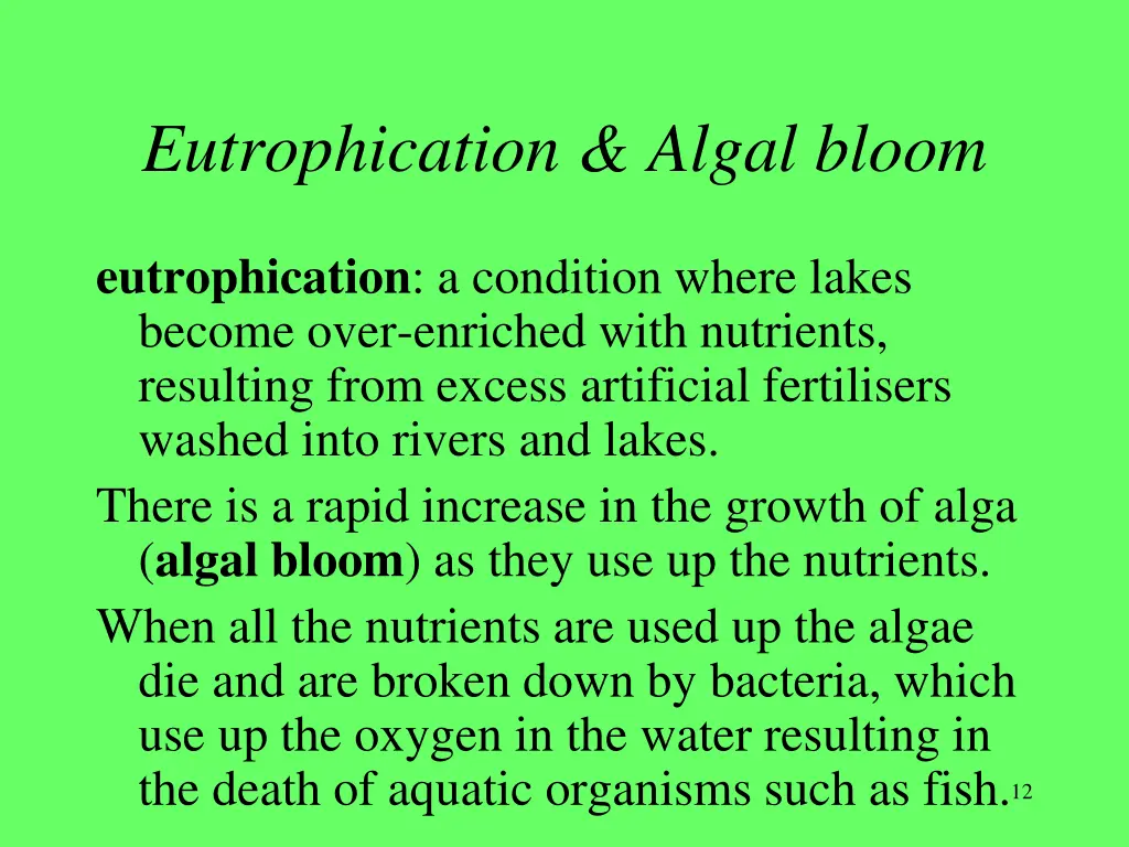 eutrophication algal bloom