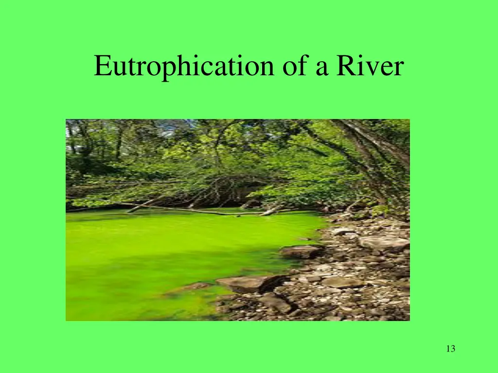 eutrophication of a river