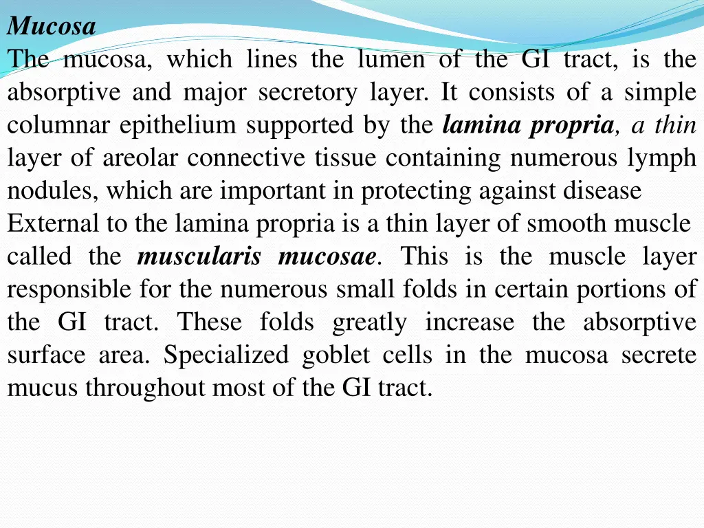 mucosa the mucosa which lines the lumen