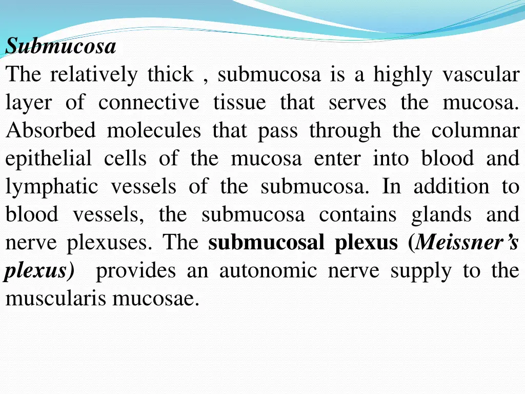 submucosa the relatively thick submucosa