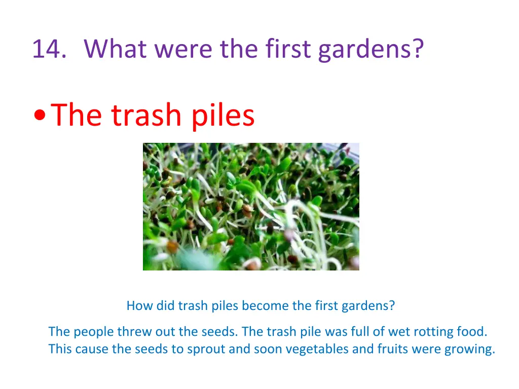 14 what were the first gardens