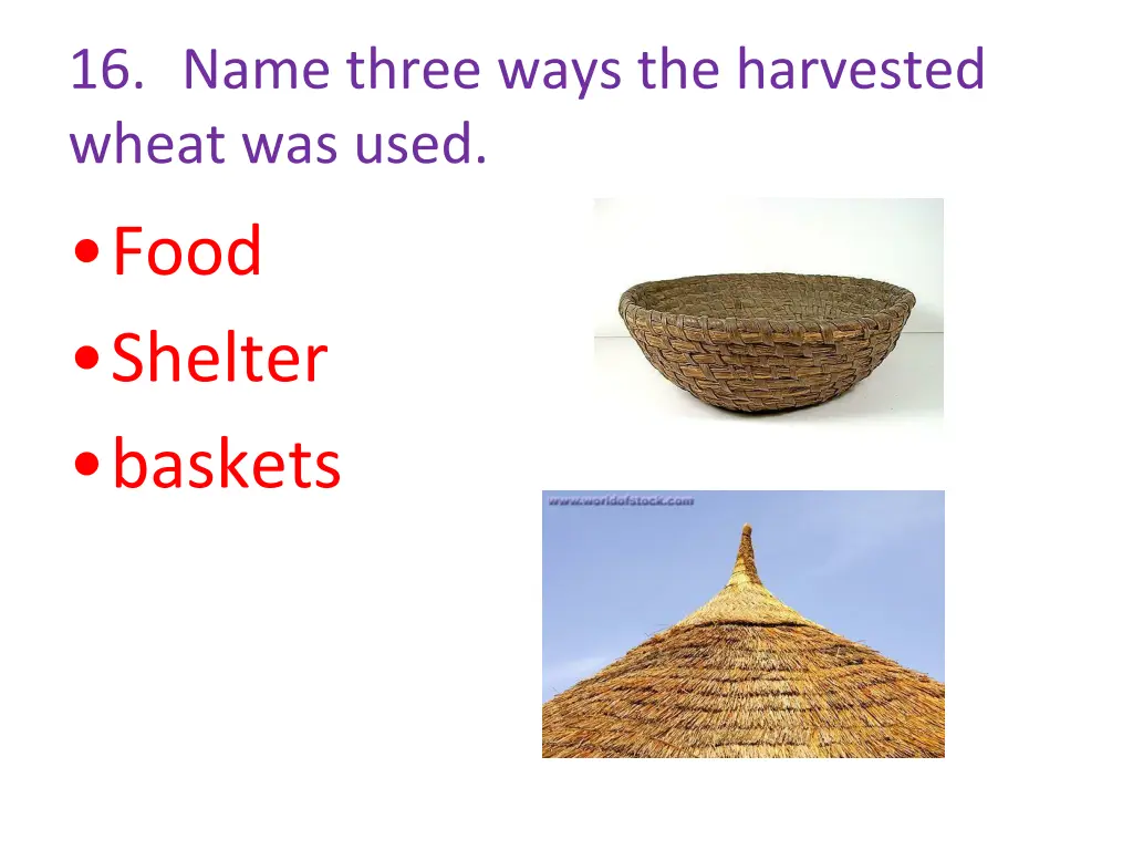 16 name three ways the harvested wheat was used