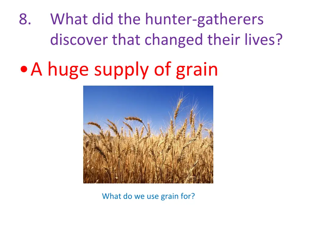 8 what did the hunter gatherers discover that